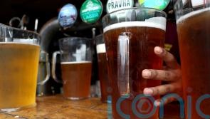 Researchers find elusive European parent of lager yeast in Ireland