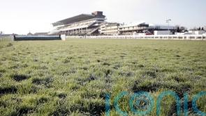 Cheltenham and Doncaster aiming to beat the freeze
