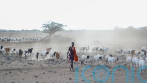 Don’t repeat past mistakes over nature, scientists warn