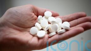 Brains with more vitamin D function better, study suggests