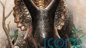 Dinosaurs were in their prime before asteroid downfall, study finds