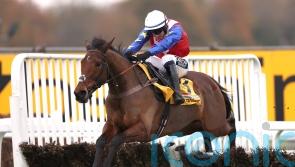 Noel Fehily eyeing Sandown raid with Love Envoi and Tahmuras
