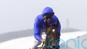 Top stayer and jumps sire Kayf Tara dies aged 28