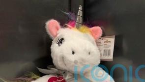 California girl given licence to own a unicorn – if she finds one