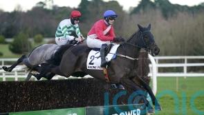 Ferny Hollow suffers season-ending tendon injury