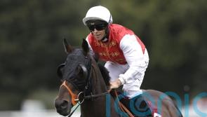 British-based runners strike in Bahrain Turf Series