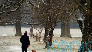 More flights cancelled as cold snap causes disruption across island of Ireland