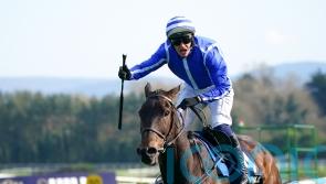 Energumene due to return at Cork