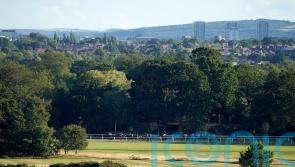 Newcastle abandoned to join National Hunt meetings lost