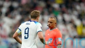 Wikipedia says referee ‘lost his guide dog’ after apparent England fan edits