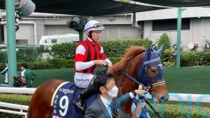 Win Marilyn swoops late for Hong Kong Vase victory
