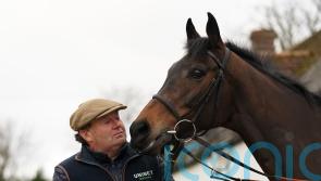 Henderson hoping International is rescheduled for Epatante