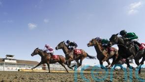 No jumps racing on Monday as cold snap continues