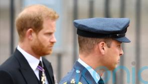 Harry claims in Netflix trailer people were ‘happy to lie’ to protect William