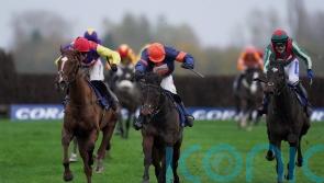 Pipe may miss Welsh National with Gericault Roque