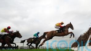 Neil King happy to wait with Lookaway until stable starts firing