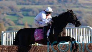 Skelton ready to take on Edwardstone with Nube Negra