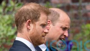 William ‘screamed and shouted’ at Harry during Megxit summit, duke claims