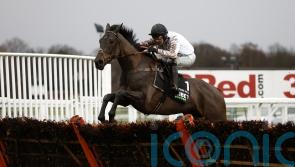 Kempton could be it for Constitution Hill before Cheltenham