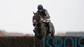 McFabulous ready to hit the right notes in Kauto Star