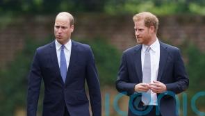 Harry ‘left terrified by screaming William’ in bombshell Netflix claims