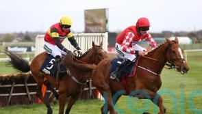 Knight Salute likely to miss rest of the season after ‘severe setback’