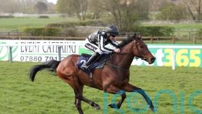 Merlin could prove magic for John Quinn and Imperial Racing