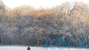 Snows disrupts travel and closes schools amid weather warnings