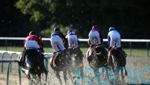 Lingfield announce precautionary inspection for Saturday meeting