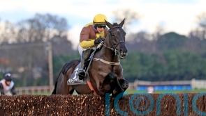 Galopin Des Champs makes stylish return at Punchestown
