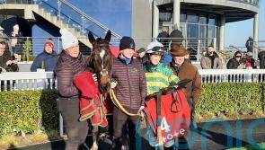 Inthepocket holds on for Grade Two honours