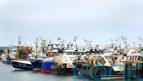Conservationists warn over fish stocks as annual catches agreed with EU
