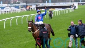 Luke Harvey to take the reins as Cue Card makes Kempton cameo