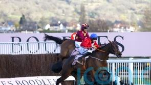 A Plus Tard spearheads De Bromhead’s Savills Chase squad