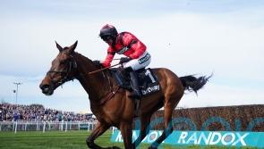 Ahoy Senor to take King George test at Kempton