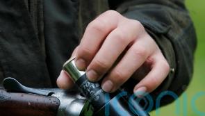 Two-tier firearms applications system recommended by MPs