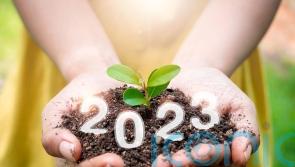 Gardening trends for 2023 – experts make their predictions