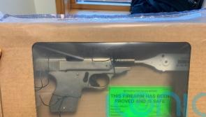 Eight guns and ammunition haul seized in south London during dawn police raid