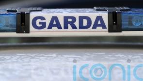 Appeal issued after young driver killed in Galway crash
