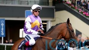 Dettori backed to make his final year as good as ever