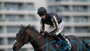 McFabulous chance of another Kauto Star success for Nicholls