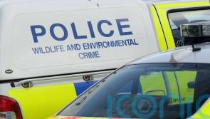 Woman, 23, injured at Glasgow hospital ward