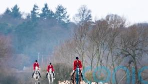Hundreds of suspected illegal fox hunts took place in UK over month, group says