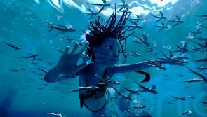 Avatar sequel sails to second week at top of box office in North America