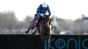 Thyme Hill gains revenge on McFabulous for impressive Kauto Star success