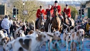 Thousands gather for Boxing Day hunts