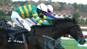 Saint Roi swoops for Grade One victory at Leopardstown
