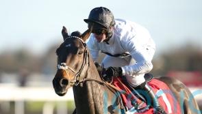 Christmas Hurdle proves cruise control for Constitution Hill