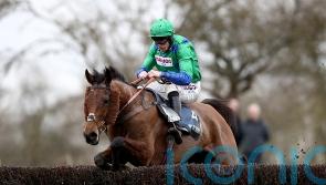 Nicholls hoping Truckers Lodge can give Freddie Gingell poignant Welsh National winner
