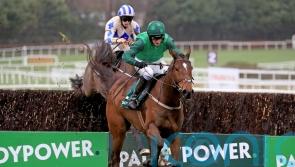 Grade One Rewards for Blue Lord at Leopardstown